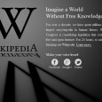 Living Without Wikipedia China is able to limit its people from reaching much information on the web. The power of the internet lies in the freedom of expression it has given to all...