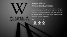 Living Without Wikipedia China is able to limit its people from reaching much information on the web. The power of the internet lies in the freedom of expression it has given to all...