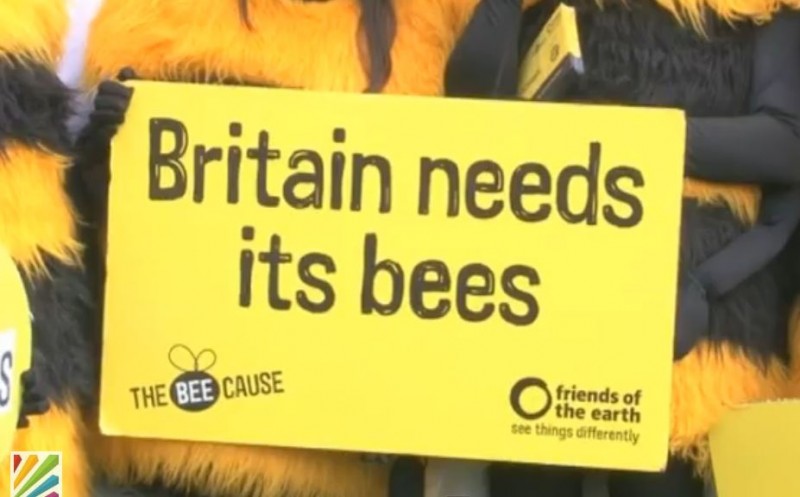 Britain Needs its Bees - protest poster at rally against use of chemicals that destroy bee colonies